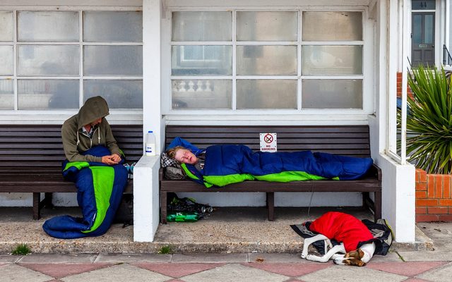 Person, Human, Bench