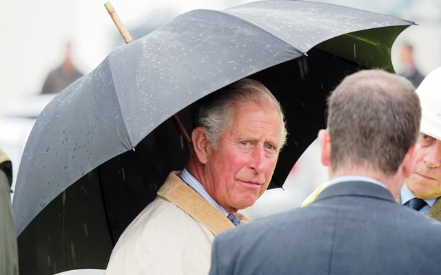 Person, Human, Umbrella