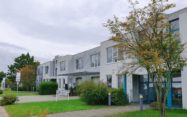 Grass, Plant, Urban