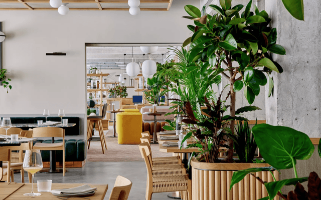 Indoors, Restaurant, Architecture