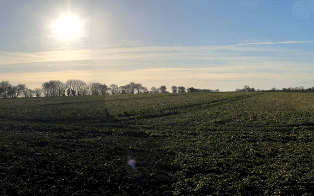 Nature, Outdoors, Sky