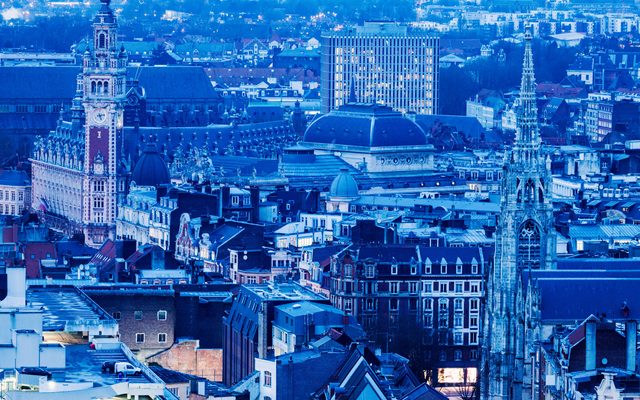 Lille skyline