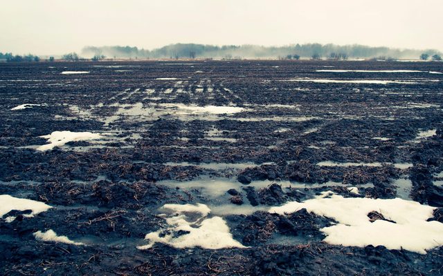 Soil, Ground, Land